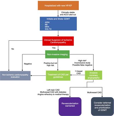 Should GDMT be prioritized over revascularization in new onset HFrEF? Potential lessons from the REVIVED-BCIS2 and STRONG-HF trials